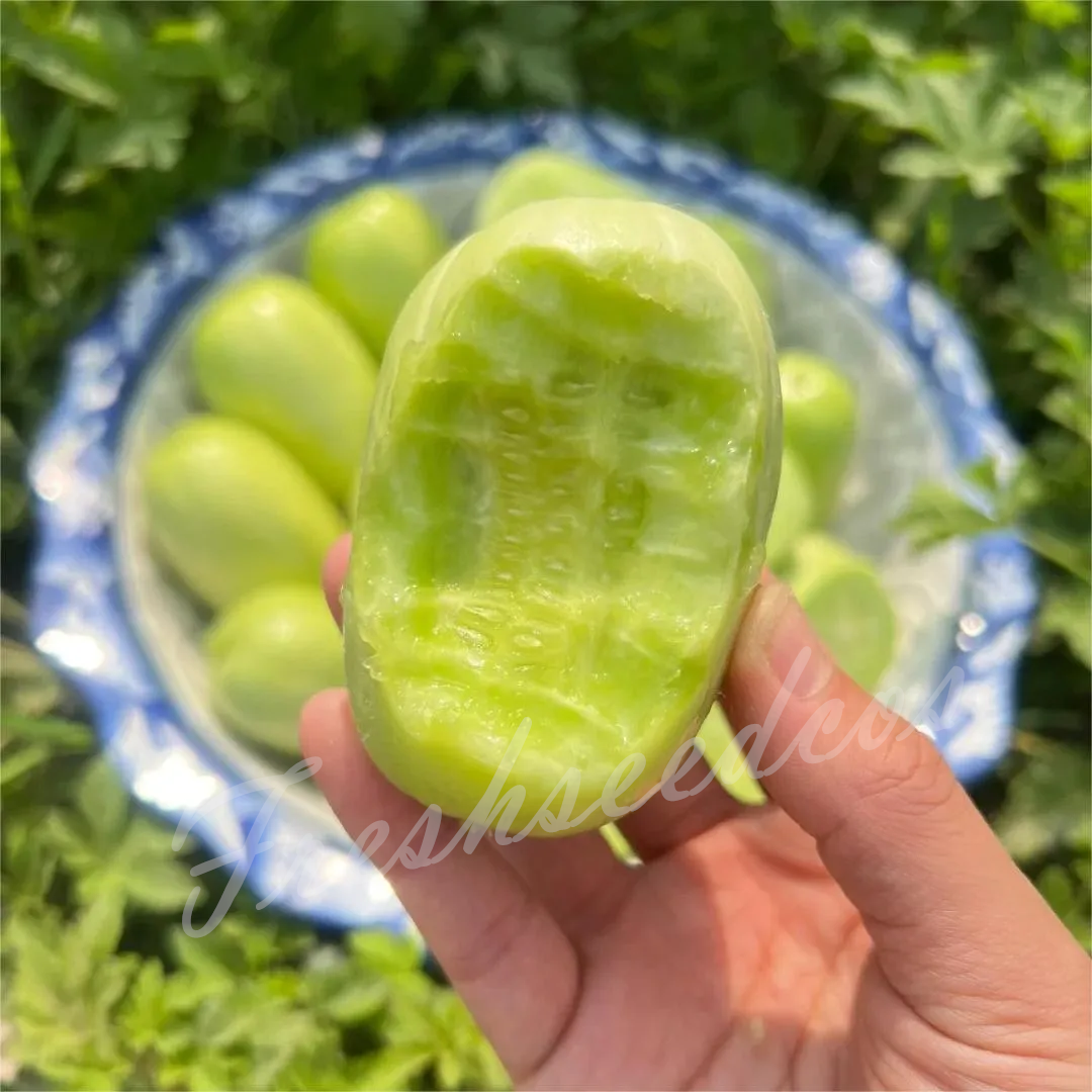 🥒Jade Lady Cucumber Seeds😍Vibrant, smooth, high-yield cucumbers – easy to grow!