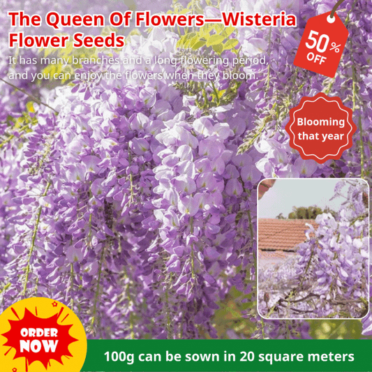 🔥LAST DAY 75% Off🌺The Queen Of Flowers—Wisteria Flower Seeds